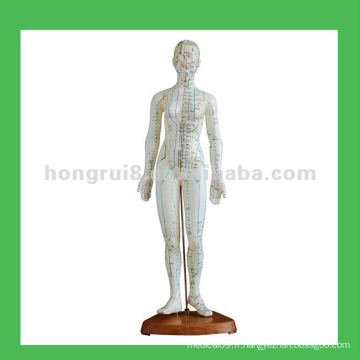 Modèle de points d&#39;acupuncture humaine, 19 &quot;Modèle de corps de femme